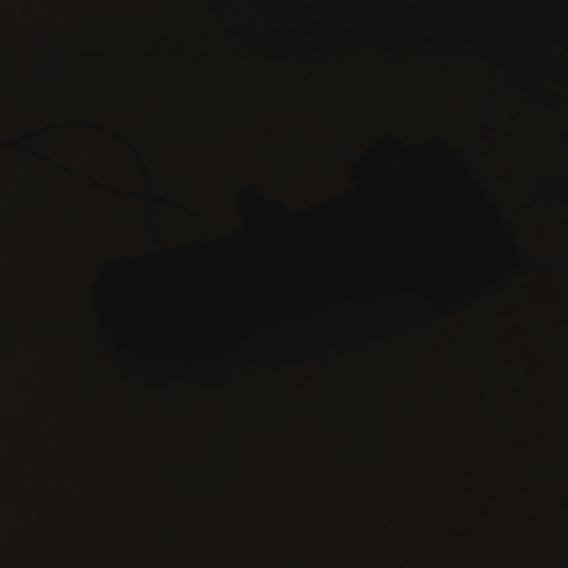 Semnalizare Dinamica LED Skoda - Octavia 3