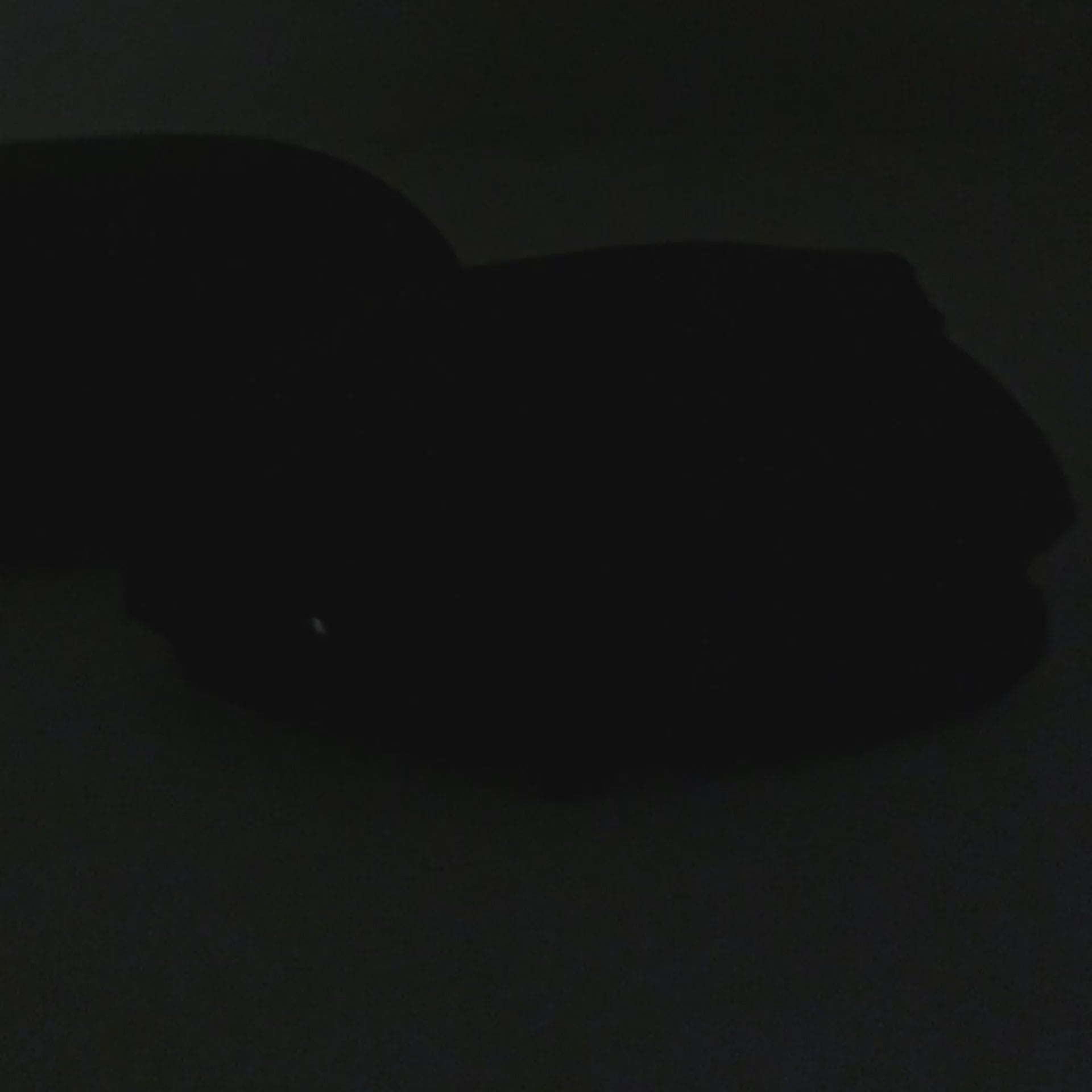 Semnalizare Dinamica LED VW - Golf 6, Touran