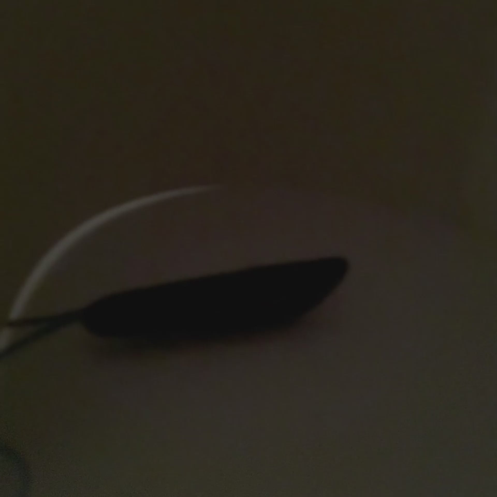 Semnalizare Dinamica LED BMW - E46, E90, E60, E84, E83